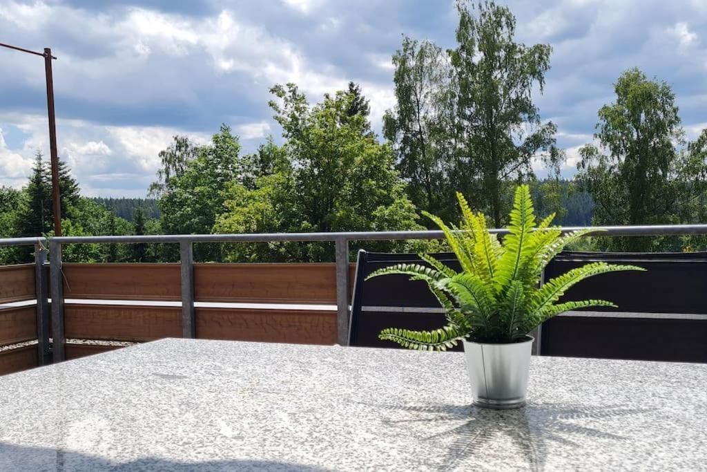 Apartmán Pool, Sauna & Schwarzwald-Idylle Unterkirnach Exteriér fotografie